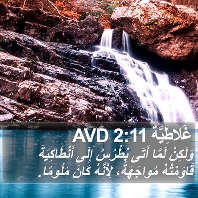غَلاطِيَّة 2:11 AVD Bible Verse Image