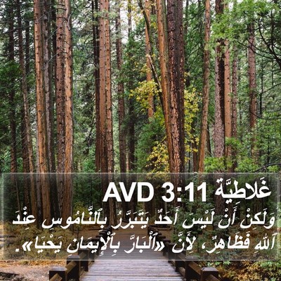 غَلاطِيَّة 3:11 AVD Bible Verse Image