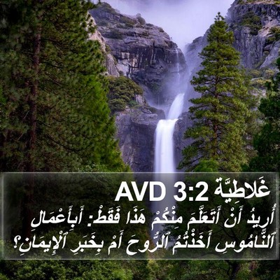 غَلاطِيَّة 3:2 AVD Bible Verse Image