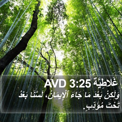 غَلاطِيَّة 3:25 AVD Bible Verse Image