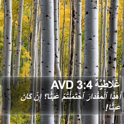 غَلاطِيَّة 3:4 AVD Bible Verse Image