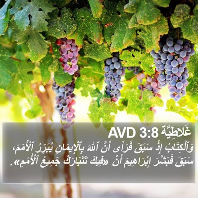 غَلاطِيَّة 3:8 AVD Bible Verse Image