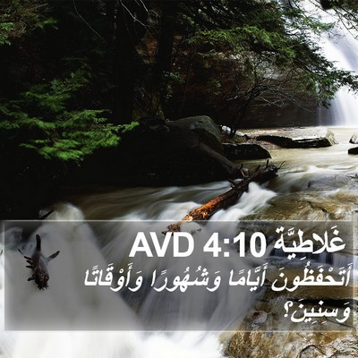 غَلاطِيَّة 4:10 AVD Bible Verse Image