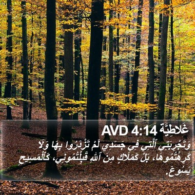 غَلاطِيَّة 4:14 AVD Bible Verse Image