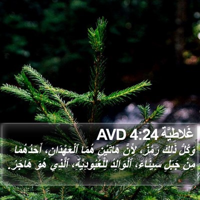 غَلاطِيَّة 4:24 AVD Bible Verse Image