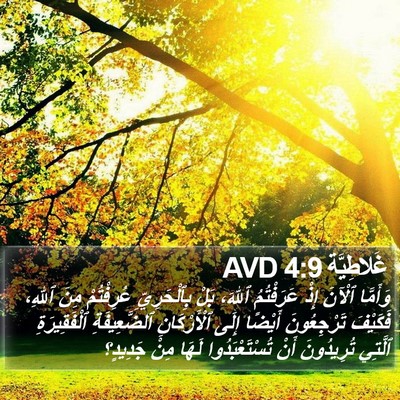 غَلاطِيَّة 4:9 AVD Bible Verse Image