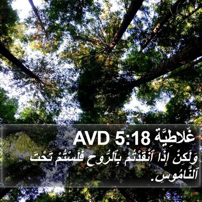 غَلاطِيَّة 5:18 AVD Bible Verse Image