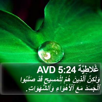غَلاطِيَّة 5:24 AVD Bible Verse Image