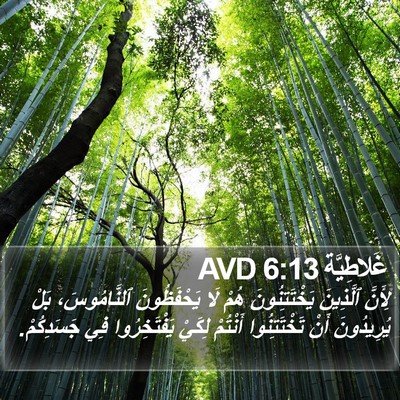 غَلاطِيَّة 6:13 AVD Bible Verse Image