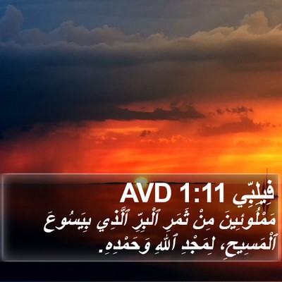 فِيلِبِّي 1:11 AVD Bible Verse Image
