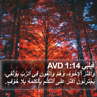 فِيلِبِّي 1:14 AVD Bible Verse Image