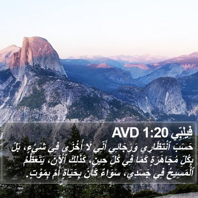 فِيلِبِّي 1:20 AVD Bible Verse Image