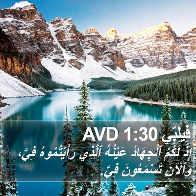 فِيلِبِّي 1:30 AVD Bible Verse Image