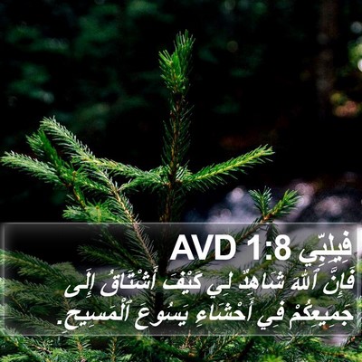فِيلِبِّي 1:8 AVD Bible Verse Image