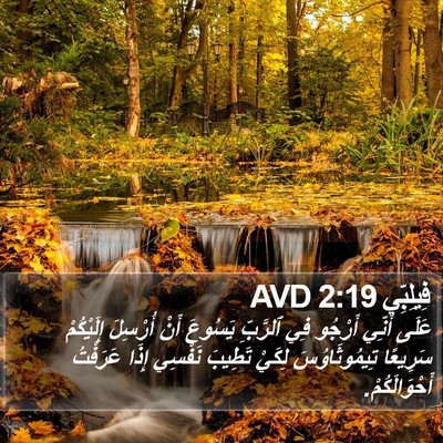 فِيلِبِّي 2:19 AVD Bible Verse Image