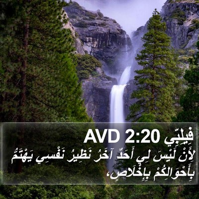 فِيلِبِّي 2:20 AVD Bible Verse Image