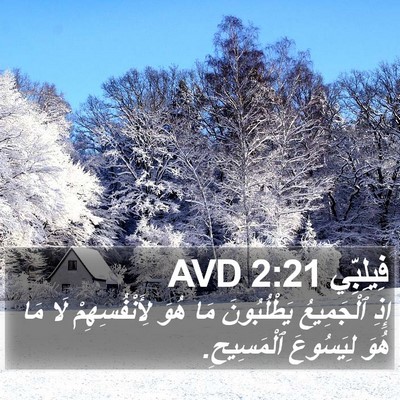 فِيلِبِّي 2:21 AVD Bible Verse Image
