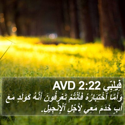 فِيلِبِّي 2:22 AVD Bible Verse Image