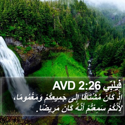 فِيلِبِّي 2:26 AVD Bible Verse Image