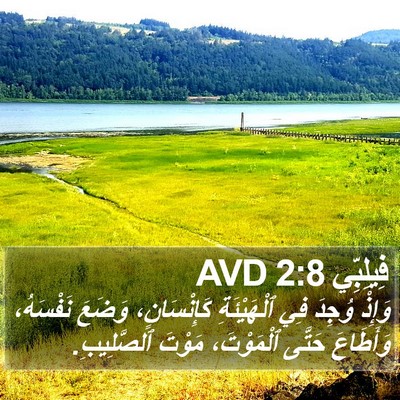 فِيلِبِّي 2:8 AVD Bible Verse Image