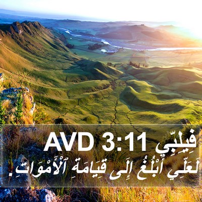 فِيلِبِّي 3:11 AVD Bible Verse Image