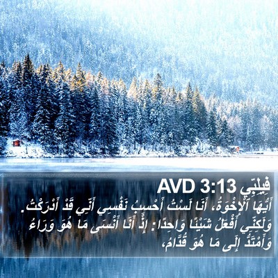 فِيلِبِّي 3:13 AVD Bible Verse Image