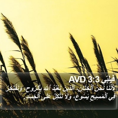 فِيلِبِّي 3:3 AVD Bible Verse Image