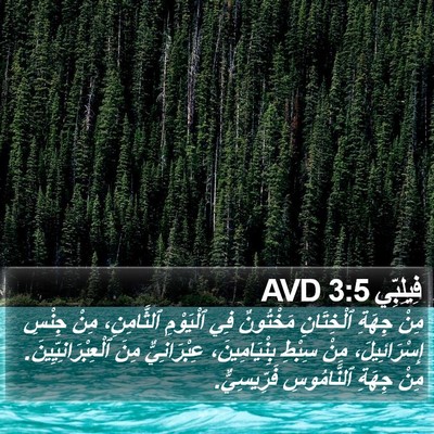 فِيلِبِّي 3:5 AVD Bible Verse Image