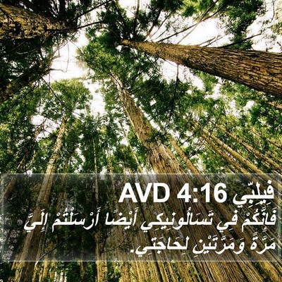 فِيلِبِّي 4:16 AVD Bible Verse Image
