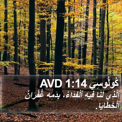 كُولُوسِي 1:14 AVD Bible Verse Image