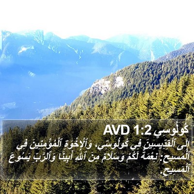 كُولُوسِي 1:2 AVD Bible Verse Image