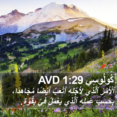 كُولُوسِي 1:29 AVD Bible Verse Image