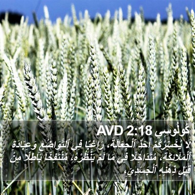 كُولُوسِي 2:18 AVD Bible Verse Image