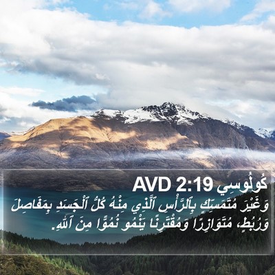 كُولُوسِي 2:19 AVD Bible Verse Image