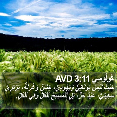 كُولُوسِي 3:11 AVD Bible Verse Image