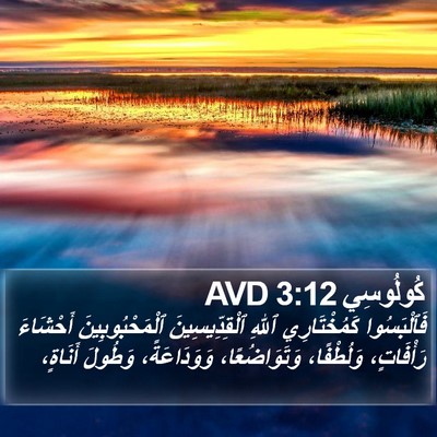كُولُوسِي 3:12 AVD Bible Verse Image
