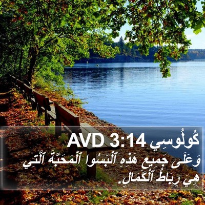 كُولُوسِي 3:14 AVD Bible Verse Image