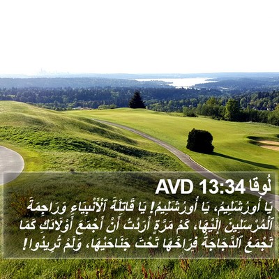 لُوقا 13:34 AVD Bible Verse Image