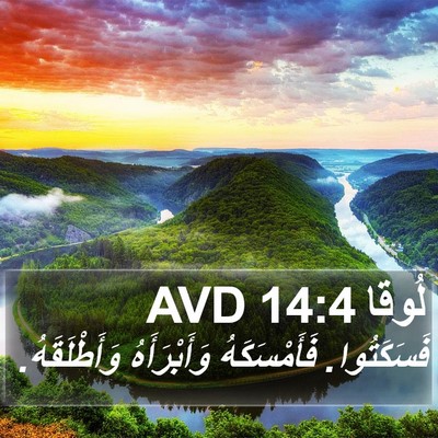 لُوقا 14:4 AVD Bible Verse Image