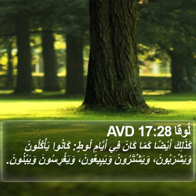 لُوقا 17:28 AVD Bible Verse Image