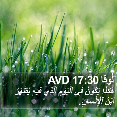 لُوقا 17:30 AVD Bible Verse Image