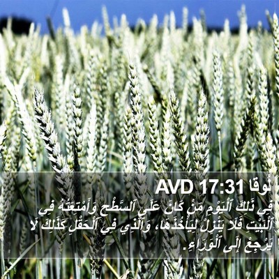 لُوقا 17:31 AVD Bible Verse Image