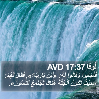 لُوقا 17:37 AVD Bible Verse Image