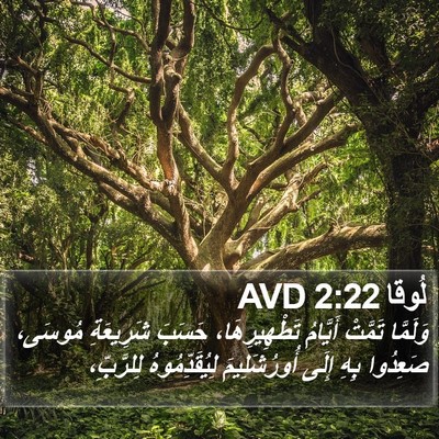 لُوقا 2:22 AVD Bible Verse Image