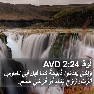 لُوقا 2:24 AVD Bible Verse Image