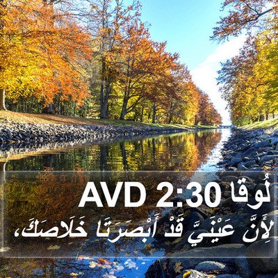 لُوقا 2:30 AVD Bible Verse Image