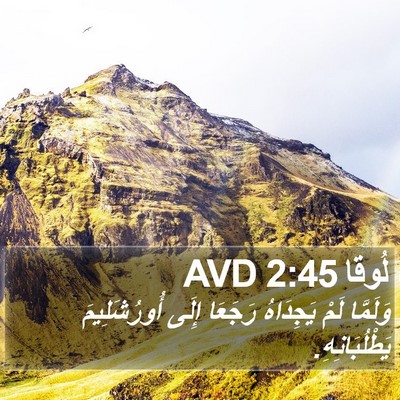 لُوقا 2:45 AVD Bible Verse Image