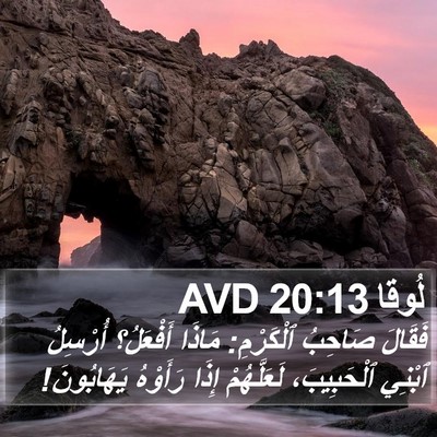 لُوقا 20:13 AVD Bible Verse Image