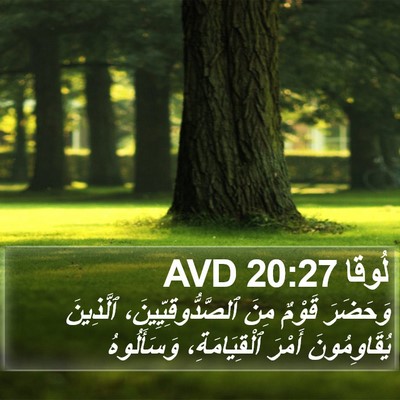 لُوقا 20:27 AVD Bible Verse Image