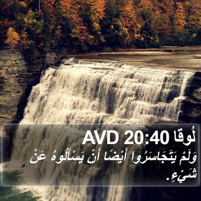 لُوقا 20:40 AVD Bible Verse Image